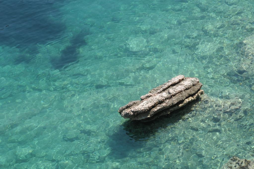 Apartment Lucky Budva Szoba fotó